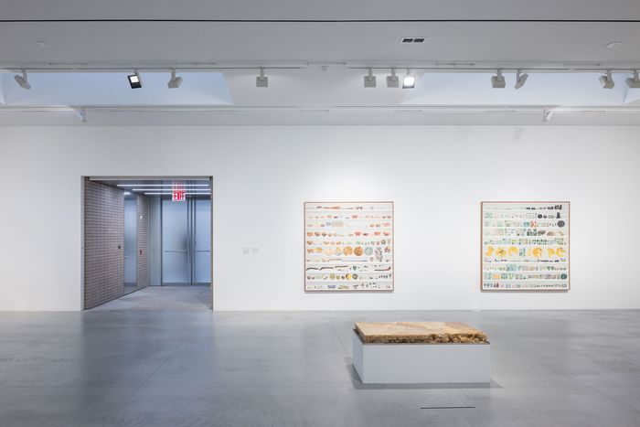 Porras-Kim’s show on view at Amant.