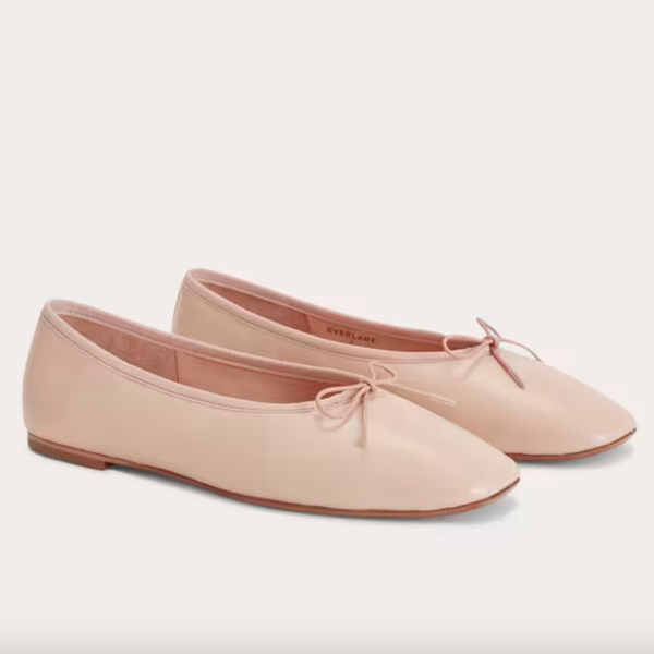 Everlane the Day Ballet Flat