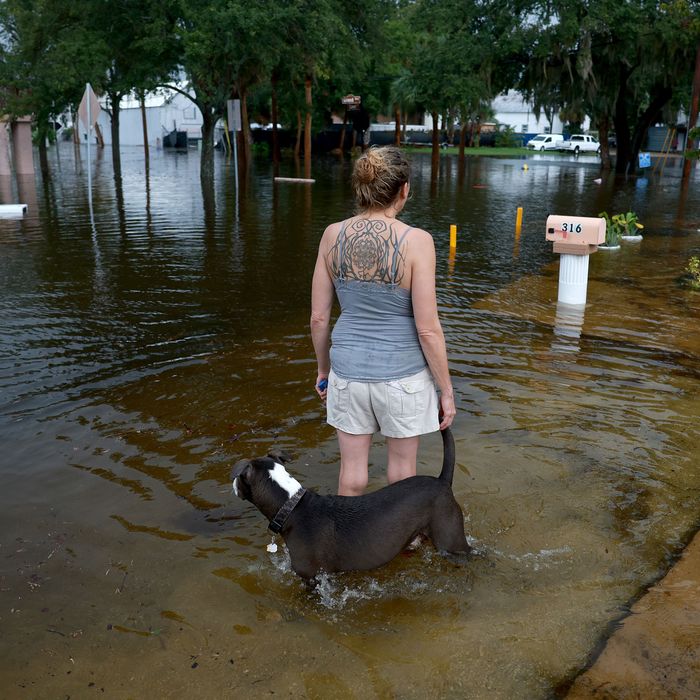 Photos: Hurricane Idalia Makes Landfall As Category 3 Storm
