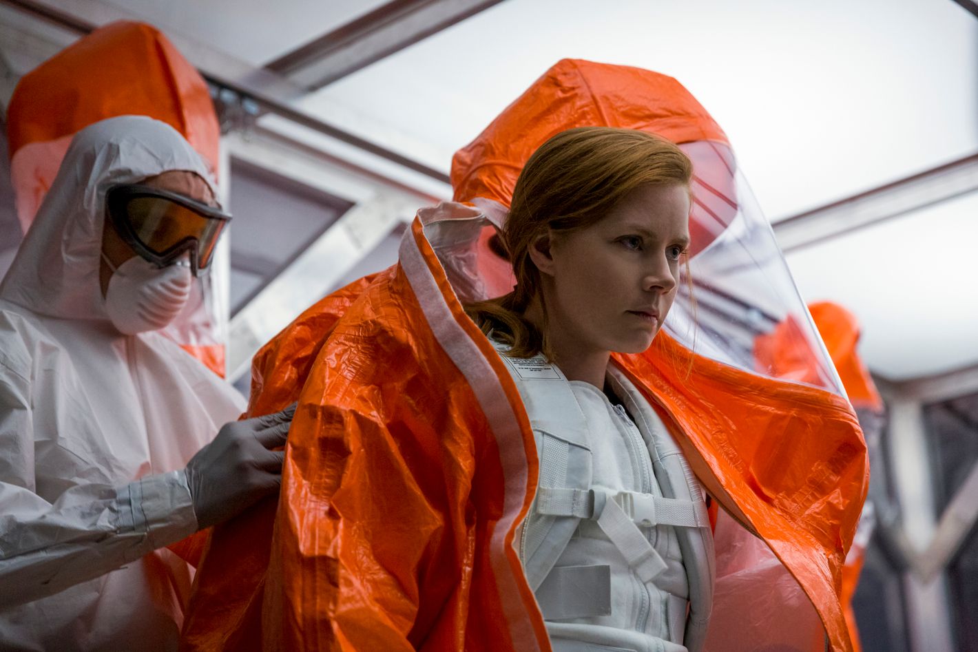 Amy Adams? In a Star Wars Movie?