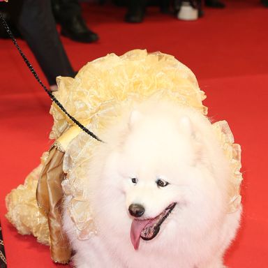 “Pigen Med Nalen” (The Girl With The Needle) Red Carpet - The 77th Annual Cannes Film Festival