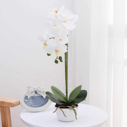 LIVILAN Silk Phalaenopsis Artificial Orchid