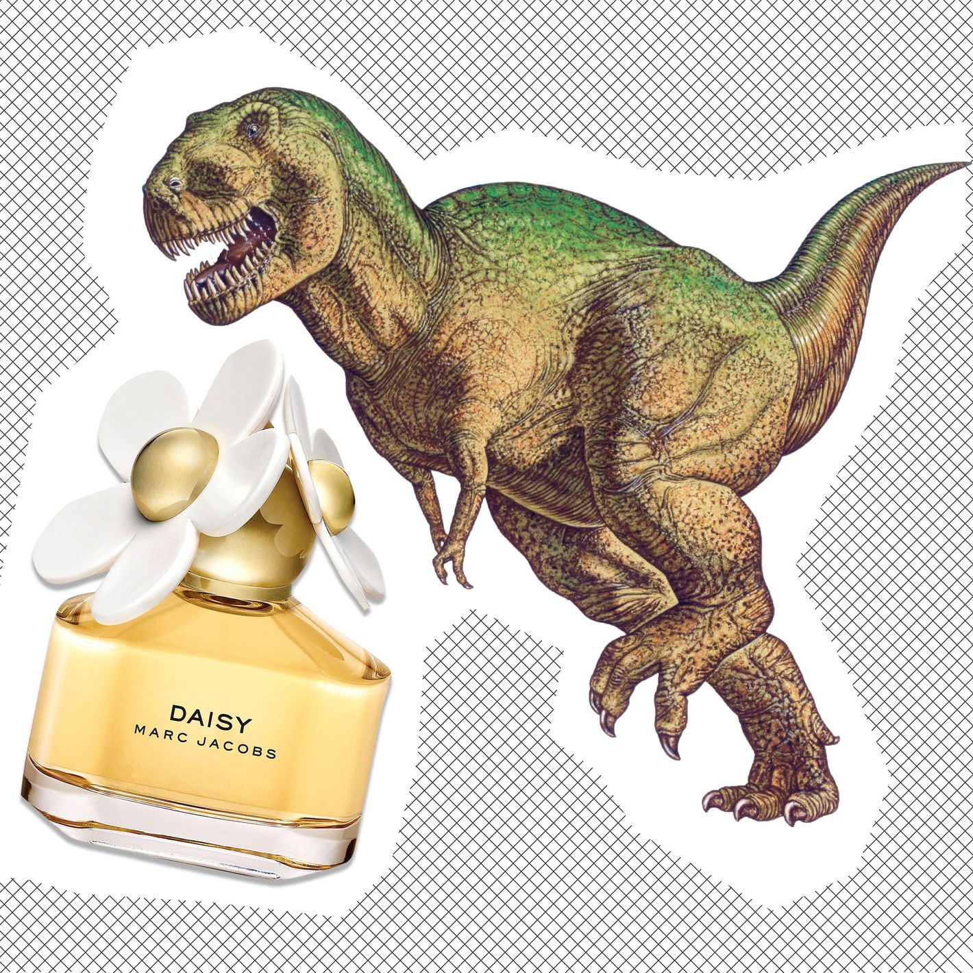 The Best Floral Perfumes for Dinosaurs