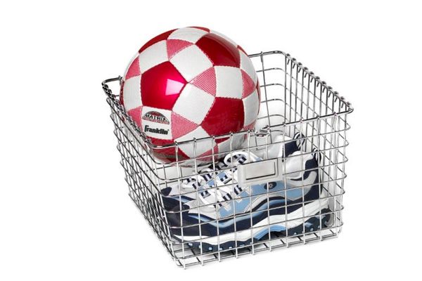 Spectrum Diversified Medium Storage Basket