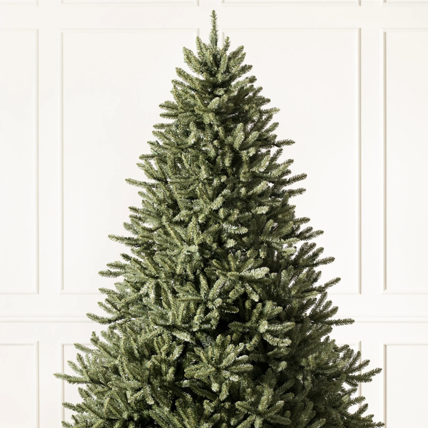 Balsam Hill Classic Blue Spruce