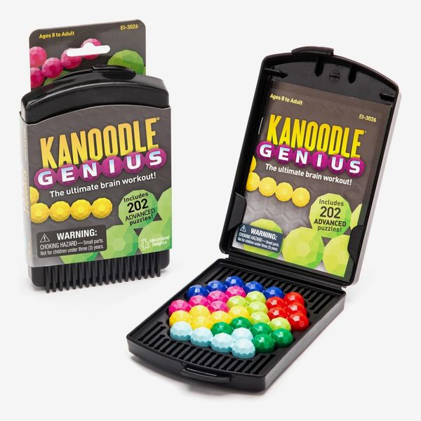 Educational Insights Kanoodle Genius 3-D Puzzle Brain Teaser Game