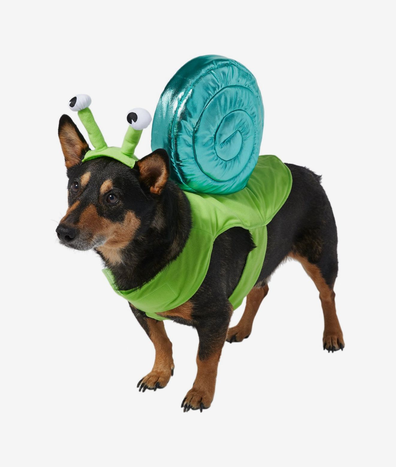 The Best Pet Costumes We've Seen for Halloween 2018 - LAmag