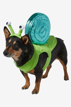 Frisco Snail Dog & Cat Costume