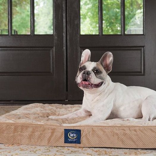 Serta Quilted Pillow-Top Ortho Pet Bed