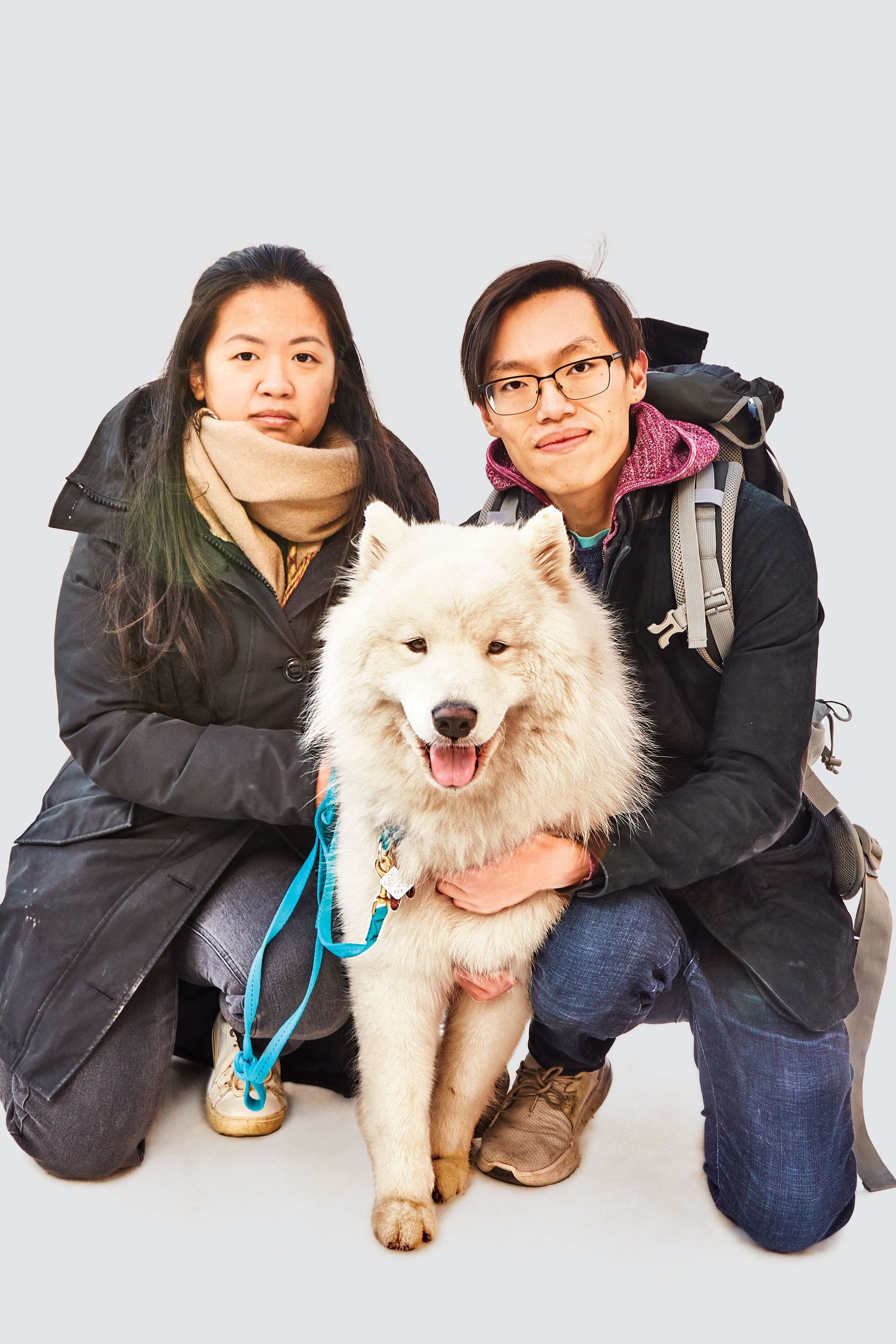 At a Samoyed Meetup in NYC: Photos