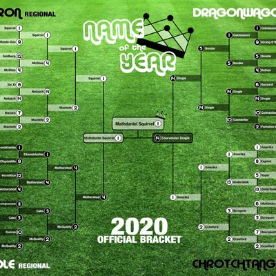 2020 NCAA Tournament Bracket: Vote to decide the people's champion!