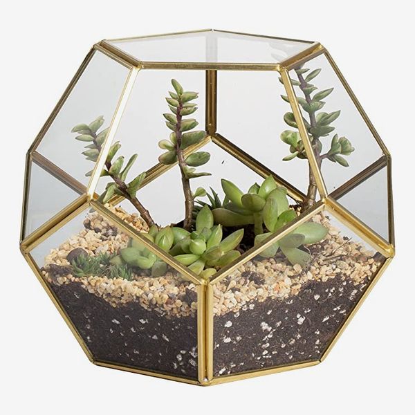 NCYP Gold Glass Geometric Terrarium