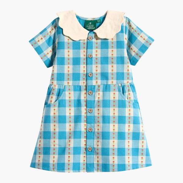 Little Green Radicals Toddler Floral Embroidered Gingham Dress