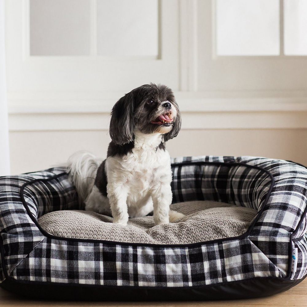 cute boy dog beds