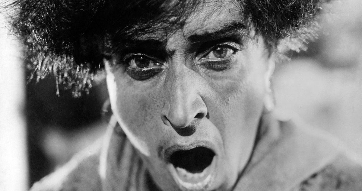 20 Must-See Movies on the New Kino Film Collection