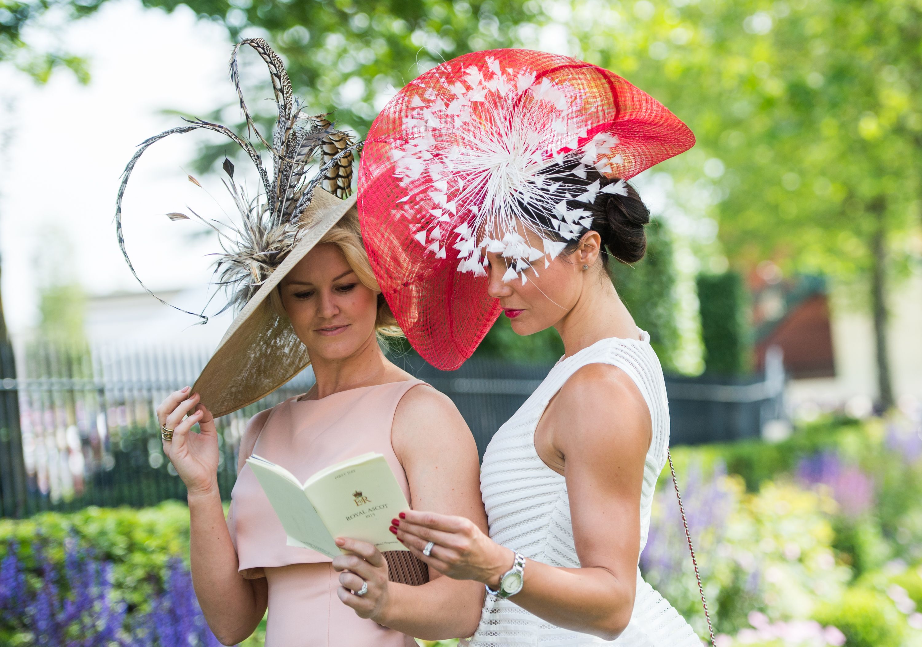 English lady. Шляпки Роял аскот. Королевские скачки “Royal Ascot” шляпки. Роял аскот скачки шляпы. Royal Ascot в Англии.