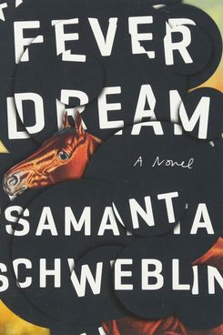 Fever Dream by Samanta Schweblin