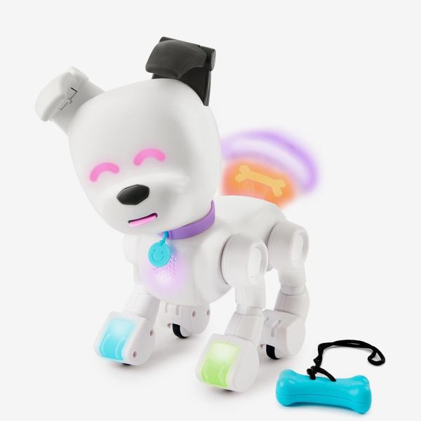 Dog-E Interactive Robot Dog with Colorful LED Lights