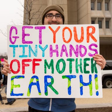 Photos: 46 Signs From the Women’s March on Washington