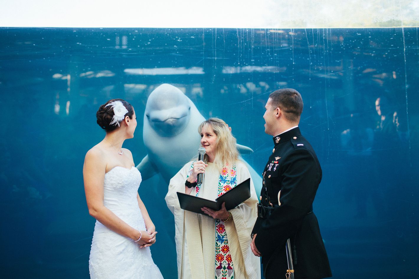 https://pyxis.nymag.com/v1/imgs/b38/9f1/1dc5bb21db95054e7b0b747137cf8244c1-05-whale-wedding-matthew-ferrara.2x.w710.jpg