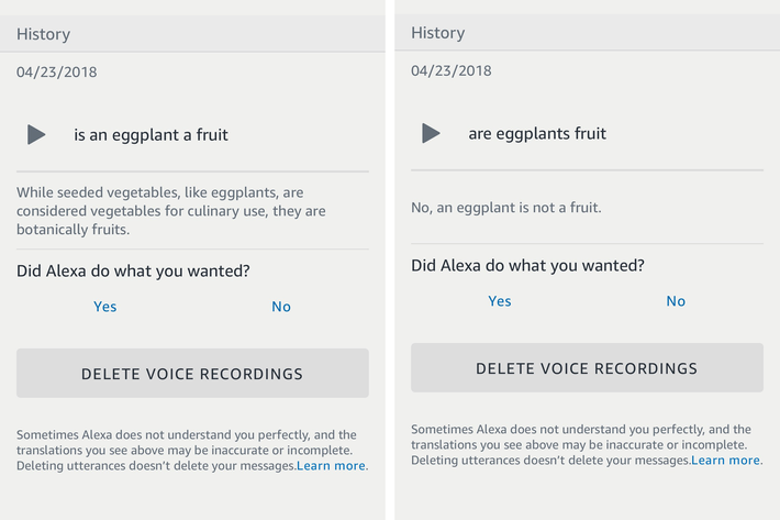 A side-by-side screenshot of two chat logs between the author and her Alexa device.