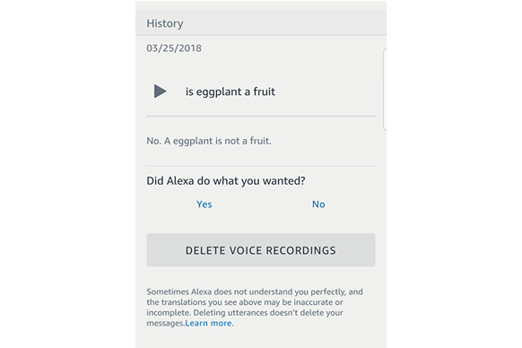 A chat log between the author and Amazon Alexa