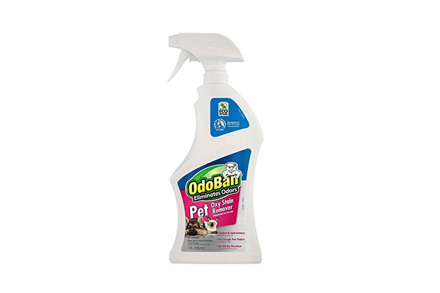 best odor eliminator for pet urine