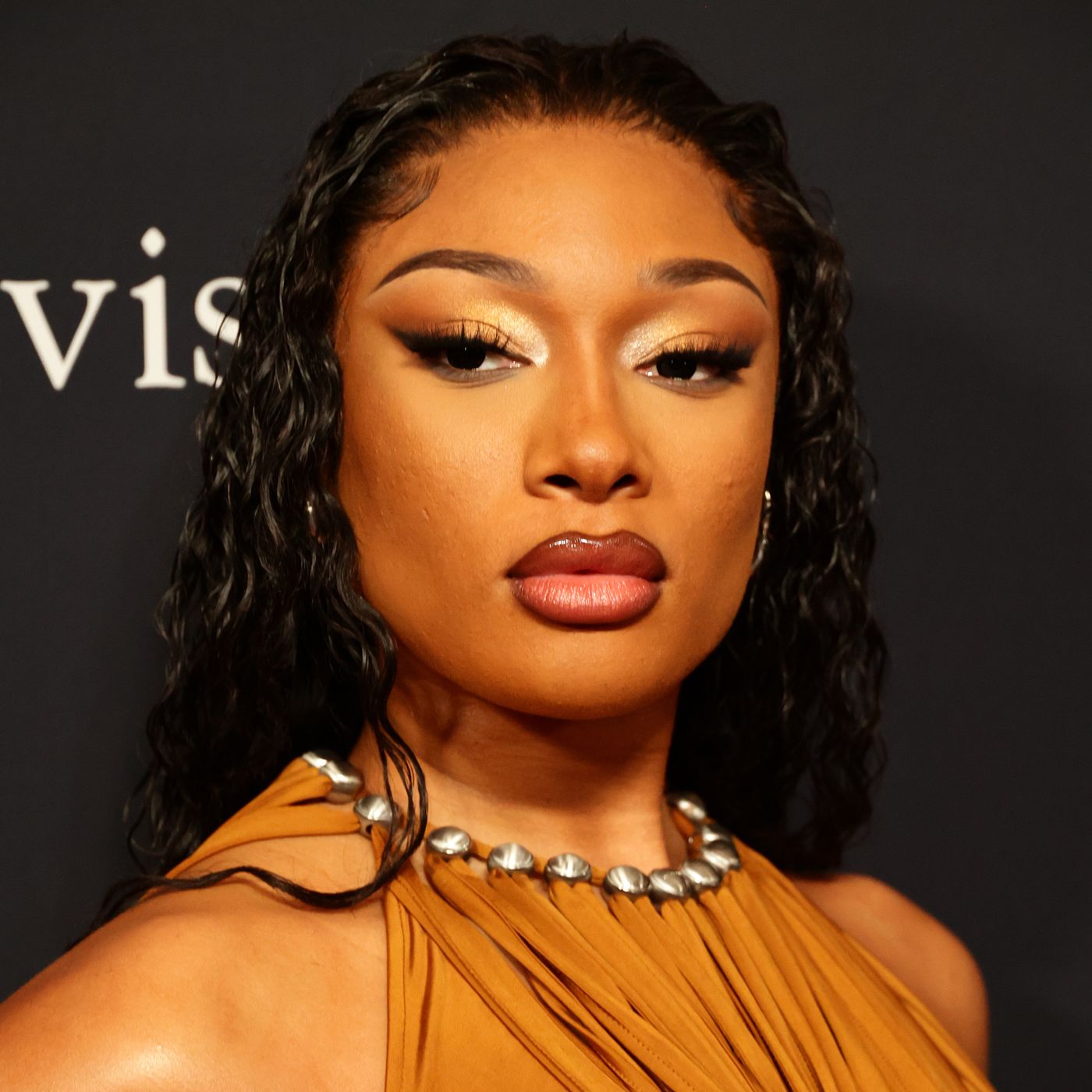 Why Is Megan Thee Stallion Being Sued?