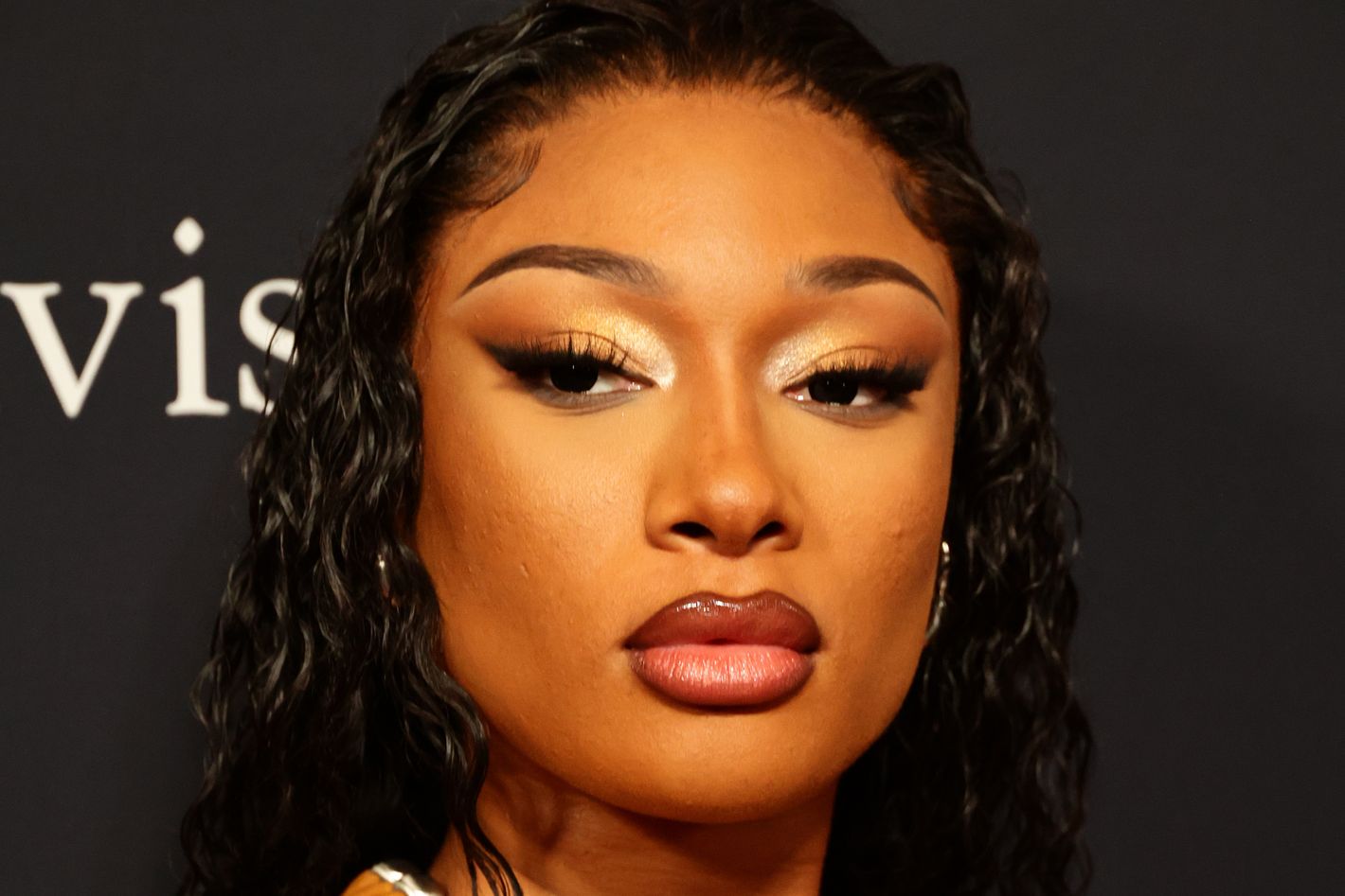 Megan Thee Stallion Accused of Harassment in New Lawsuit