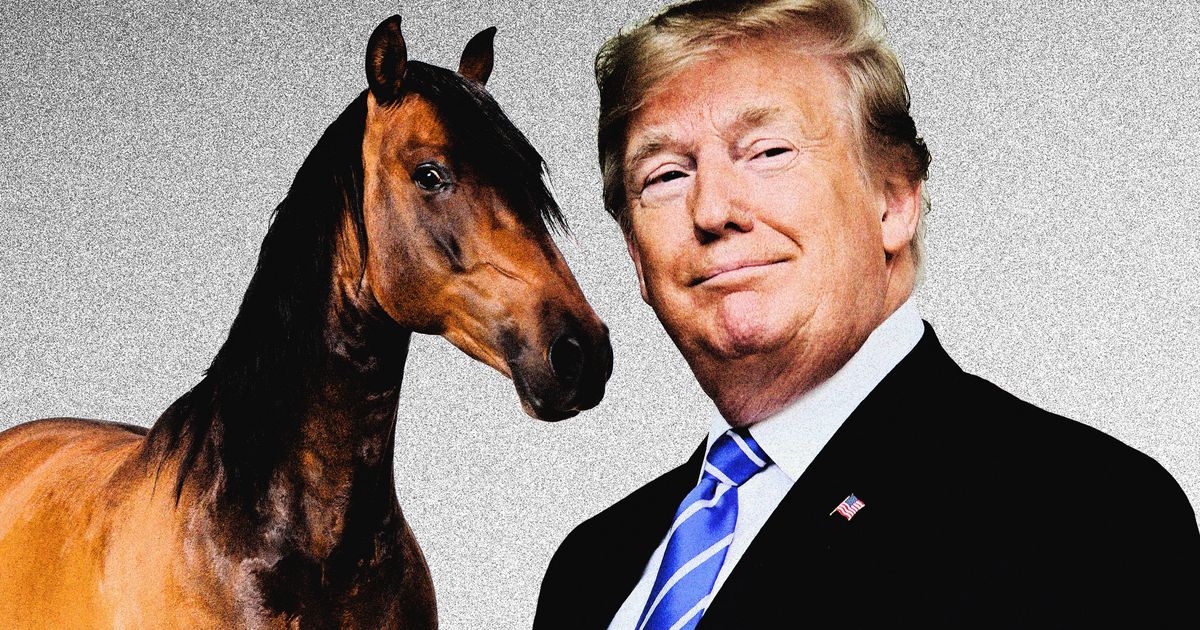 Trump Tried out to Pay back a Lawyer With a Horse. I Have Issues.