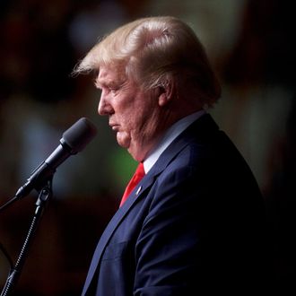 Donald Trump Campaigns In Harrisburg, Pennsylvania