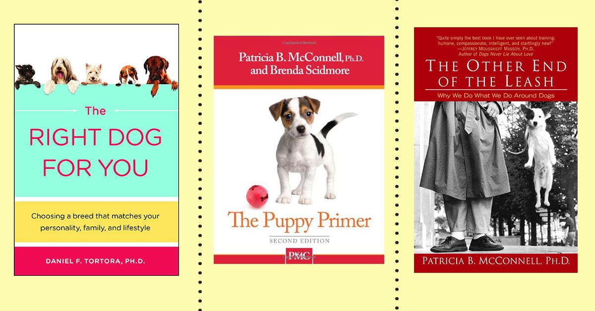 The 9 Best Books for New Dog Owners The Strategist