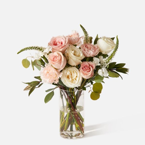 UrbanStems The Mariposa