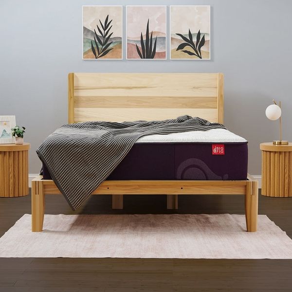 Big Fig Classic Mattress - Queen