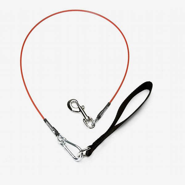 VirChewLy Indestructible Leash for Dogs