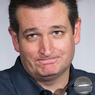 Republican presidential candidate Sen. Ted Cruz (R-TX) speaks during a campaign rally at The Gatherings on January 13, 2016 in Dorchester, South Carolina. 