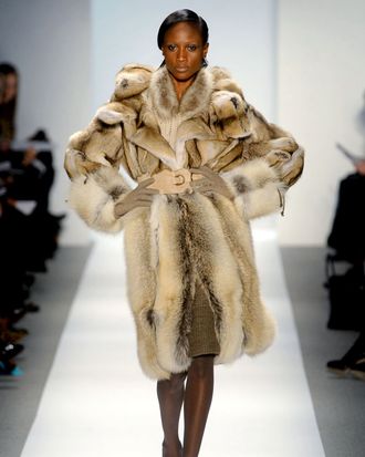 Dennis Basso, fall 2011.