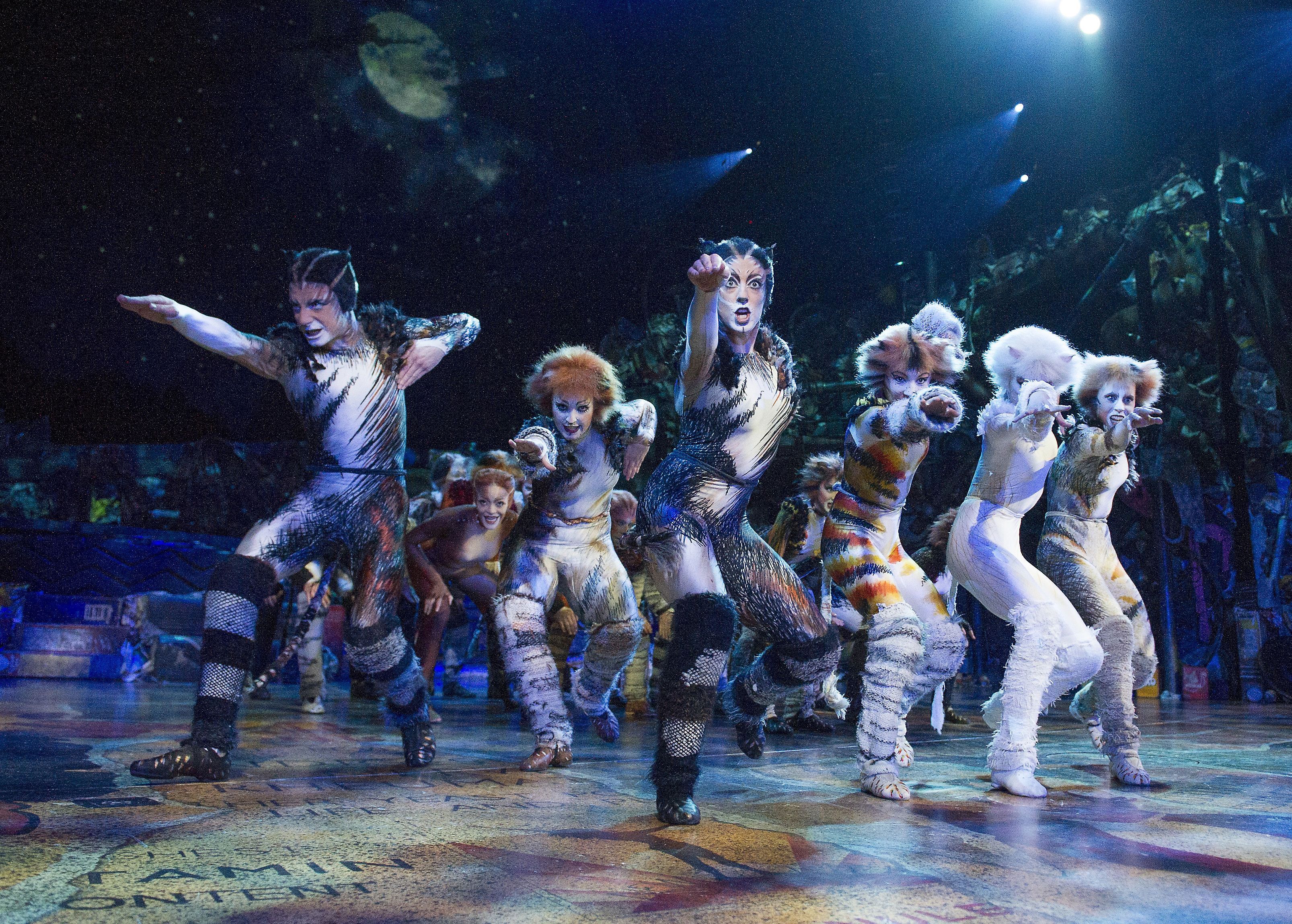 Cats the Musical 2016 