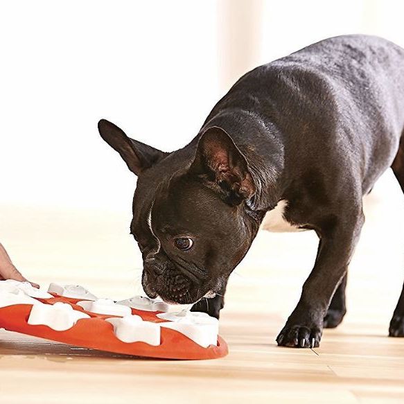 best dog treat puzzles