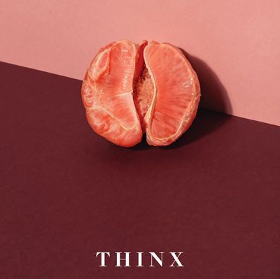 I tried Thinx period panties [A Review] - Fruit Pray Love