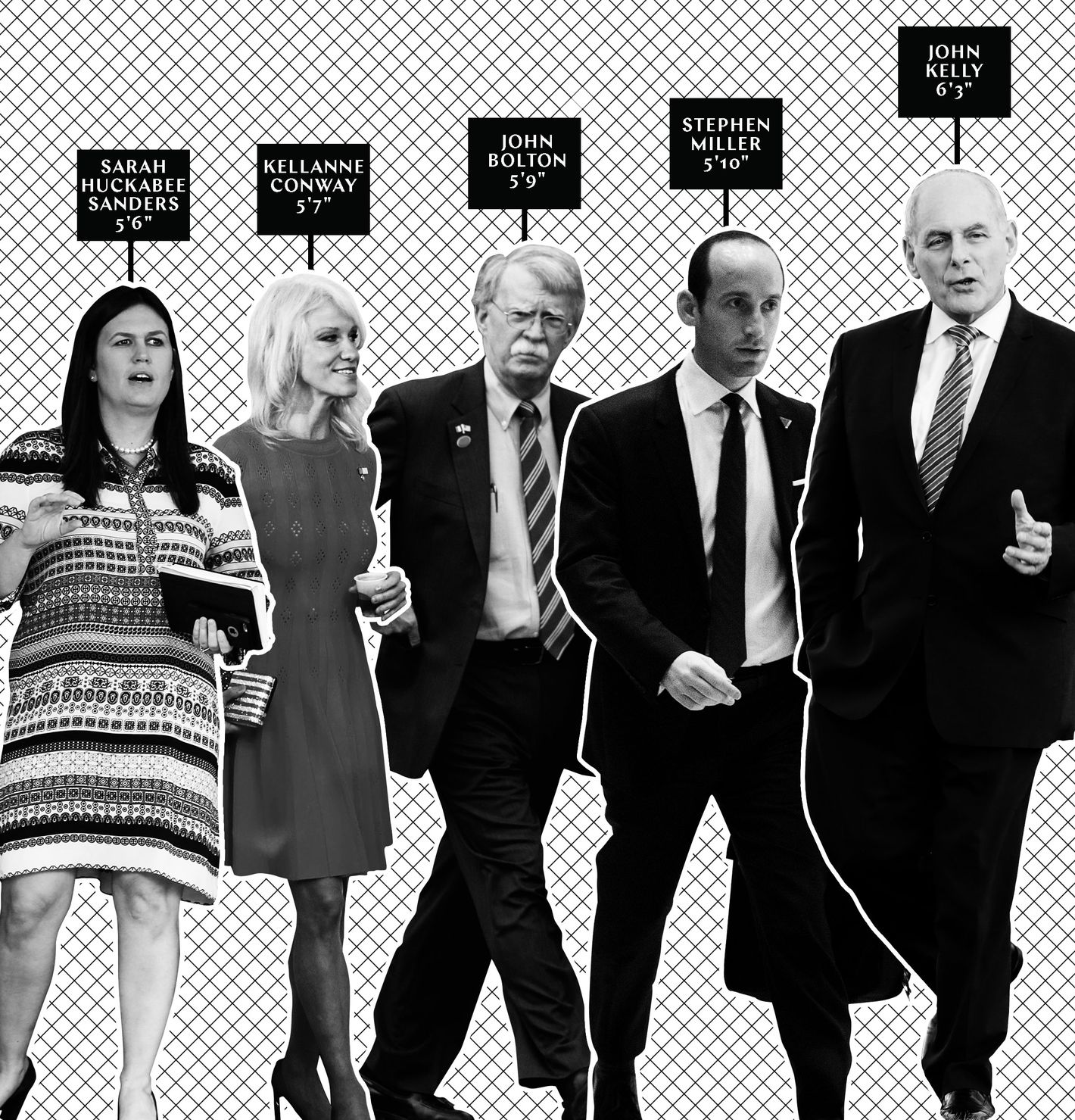 how-tall-are-ivanka-james-comey-and-others-in-trumpworld