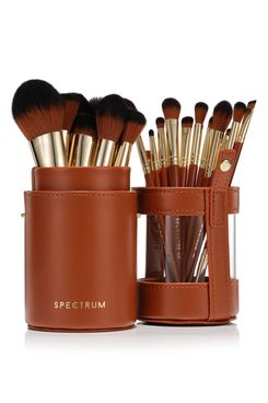 Spectrum Pantherine Pro 20-Piece Brush Set