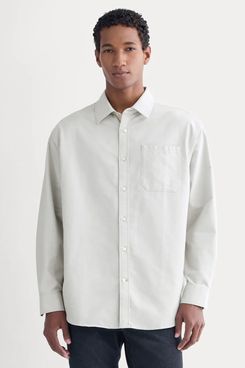 Everlane Oversize Oxford Shirt - Gray