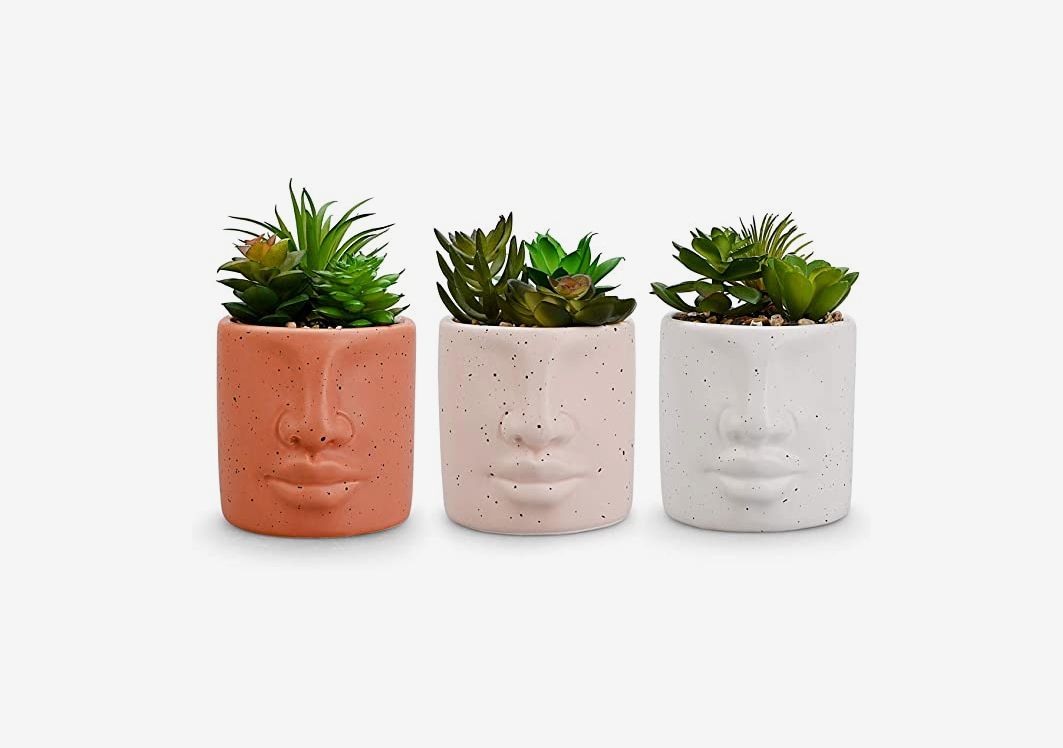 Set of 2 Artificial Succulent Plants Fake Plants in White Ceramic Pots with Bamboo Tray 6.5” Tall