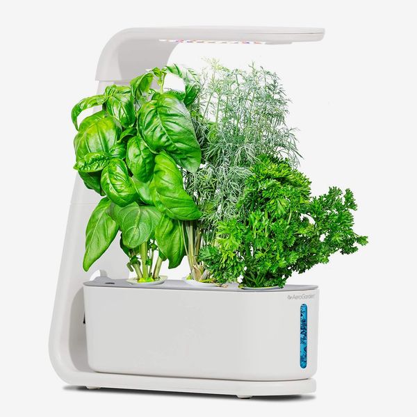 AeroGarden Sprout