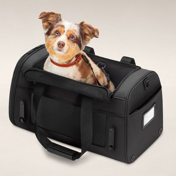 Away The Pet Carrier