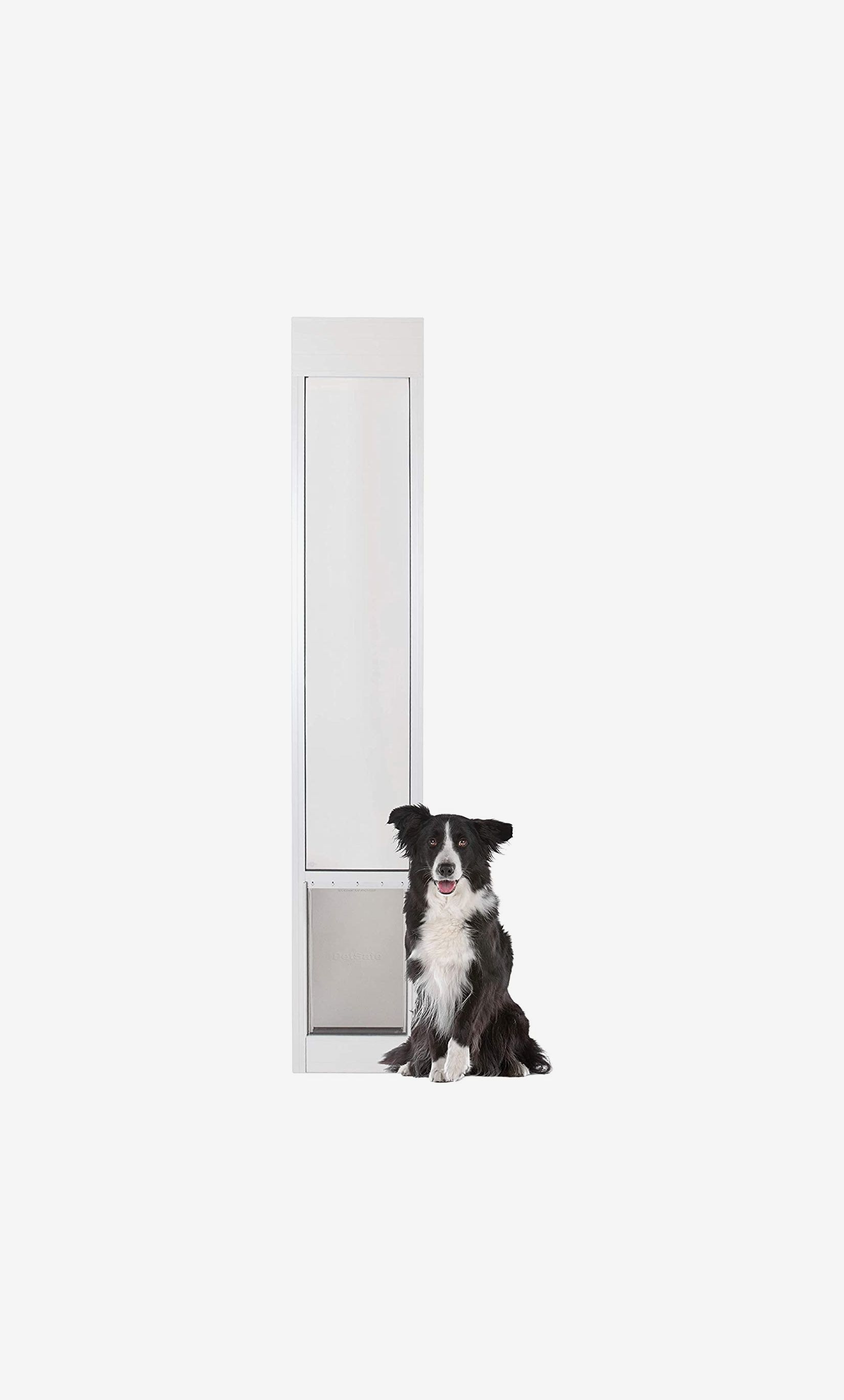 Best pet shop doors 2018