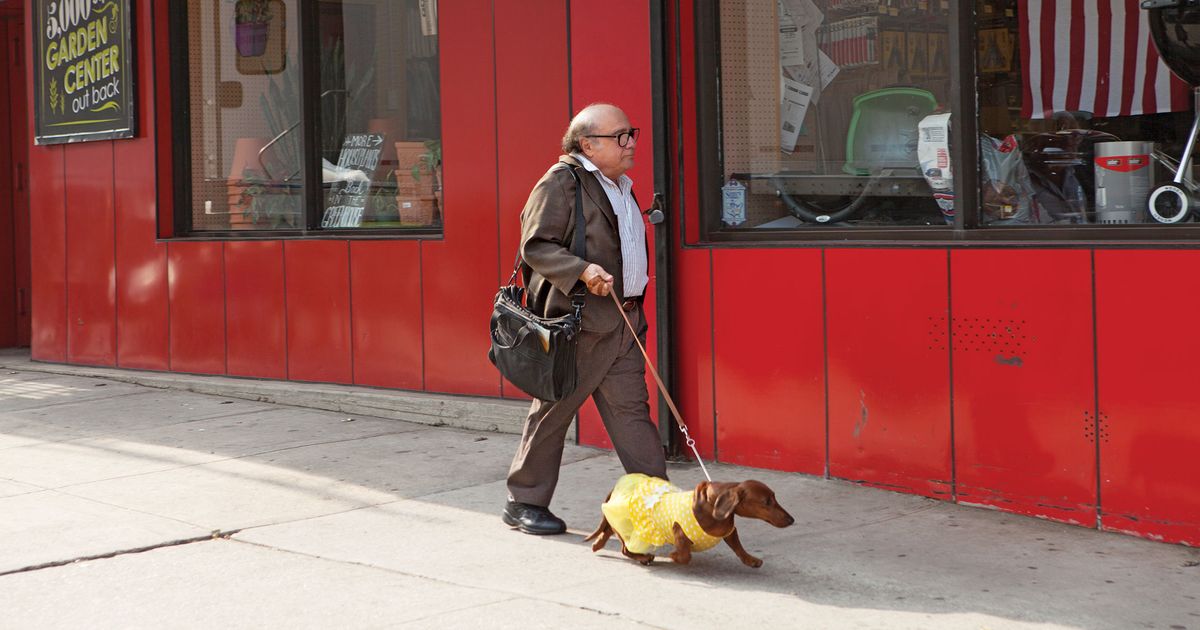 トッド・ソロンドのWiener-Dog4つのピッチダークコメディーは、1つの犬を共演しています