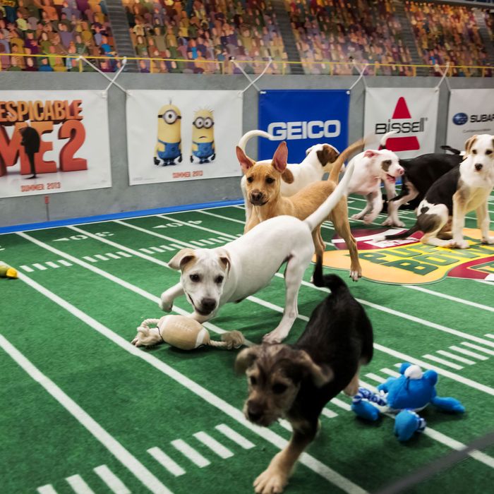 Three Ways to Improve the Puppy Bowl