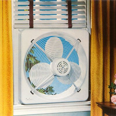 Electric Fan in Window